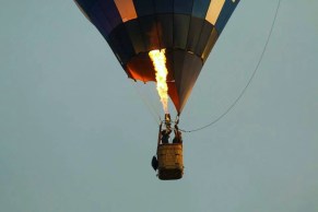 14696886_1055789534538180_1203936120_n